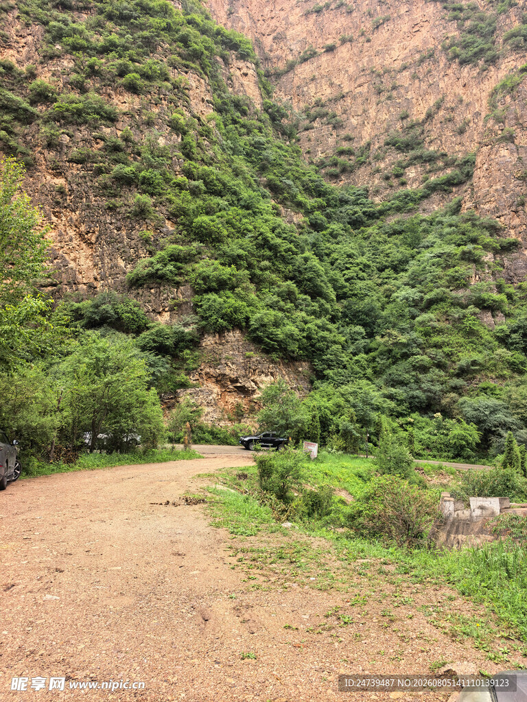 山间土路旁的葱郁植被