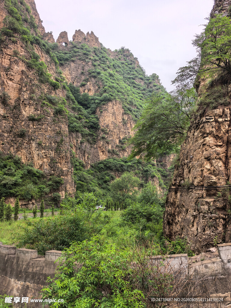 壮丽山景与繁茂植被