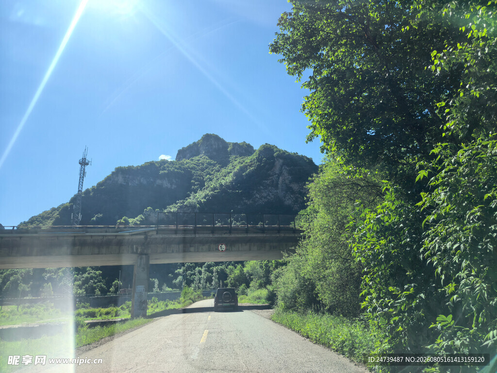 公路边绿意盎然的山景