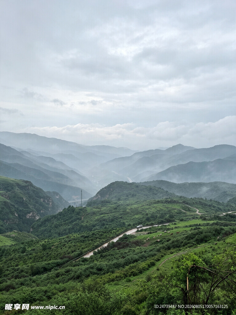 山峦绿意间的蜿蜒公路