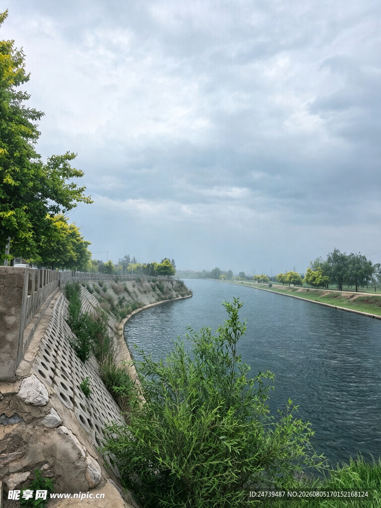河畔绿意风景