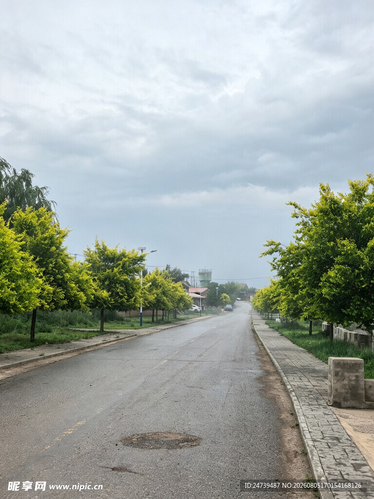 宽阔林荫路清新自然景