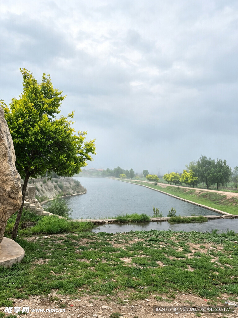河畔绿意风景
