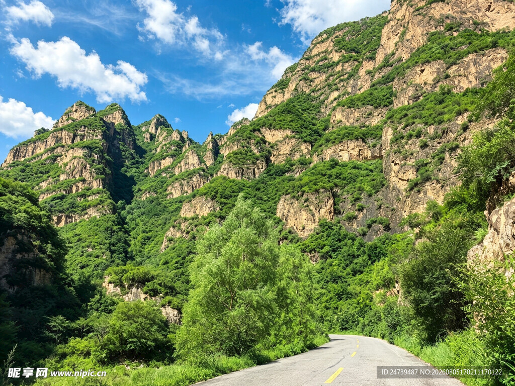 山间公路穿行于葱郁山林