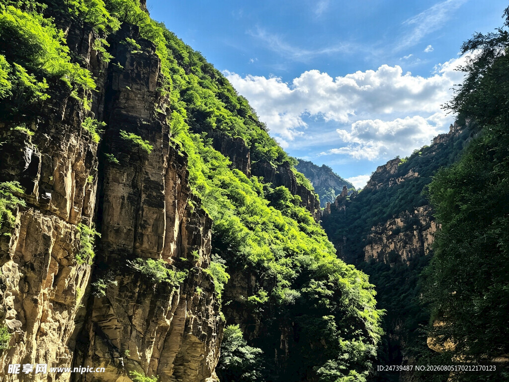 峻岭青山间的壮美峡谷
