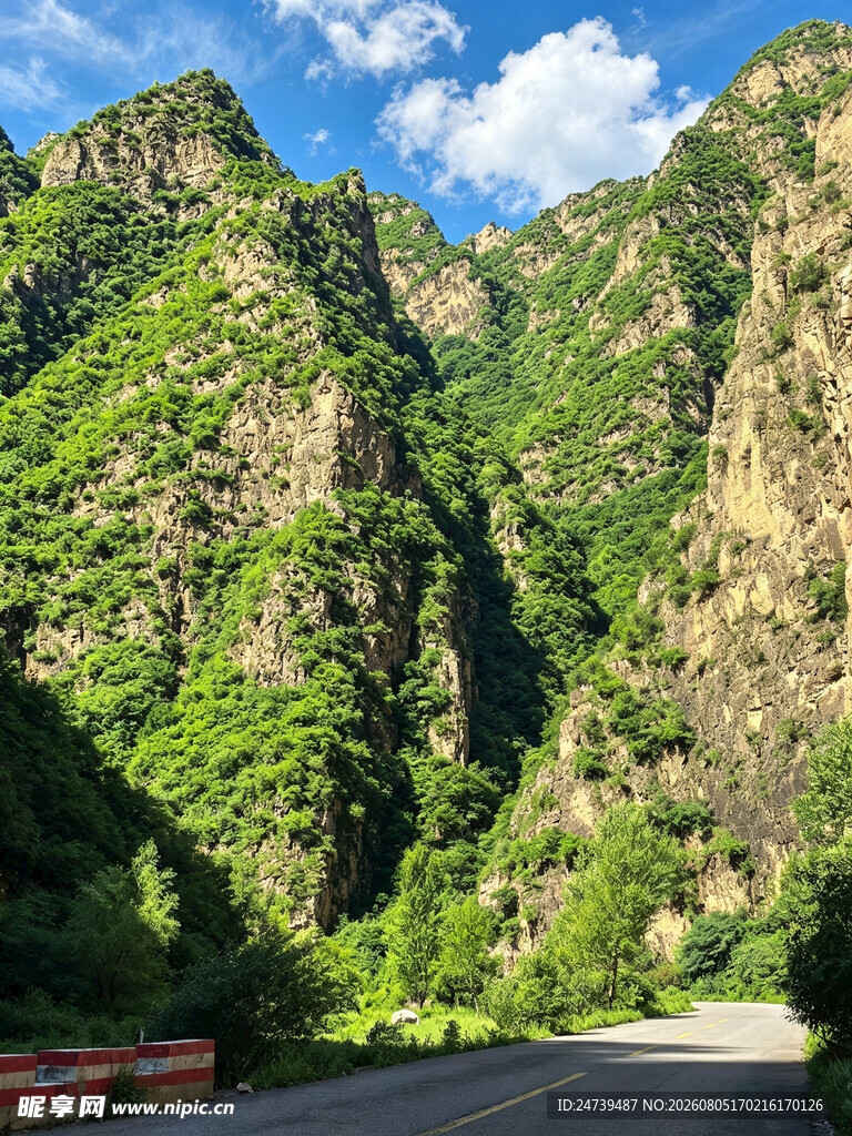 山间公路壮美绿色山峦