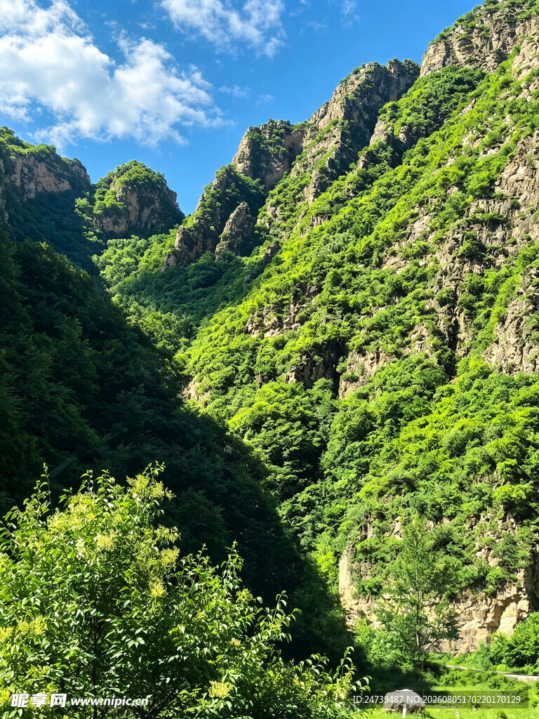 青山翠谷间的秀丽风光