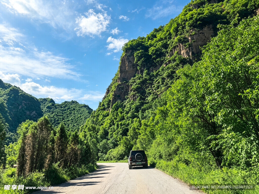 山间公路车辆穿行绿意中