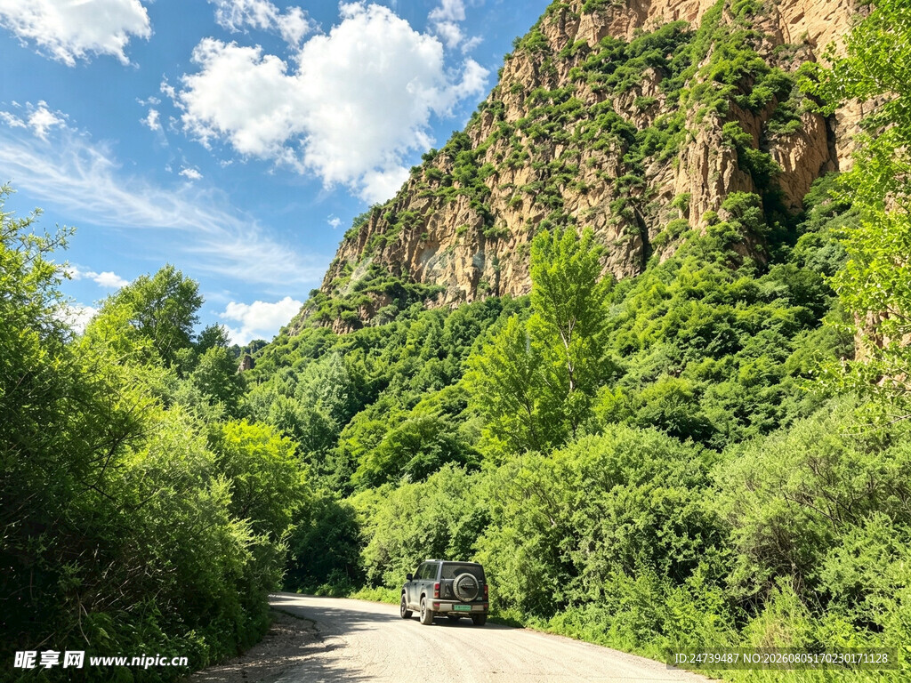 山间公路绿意盎然的美景