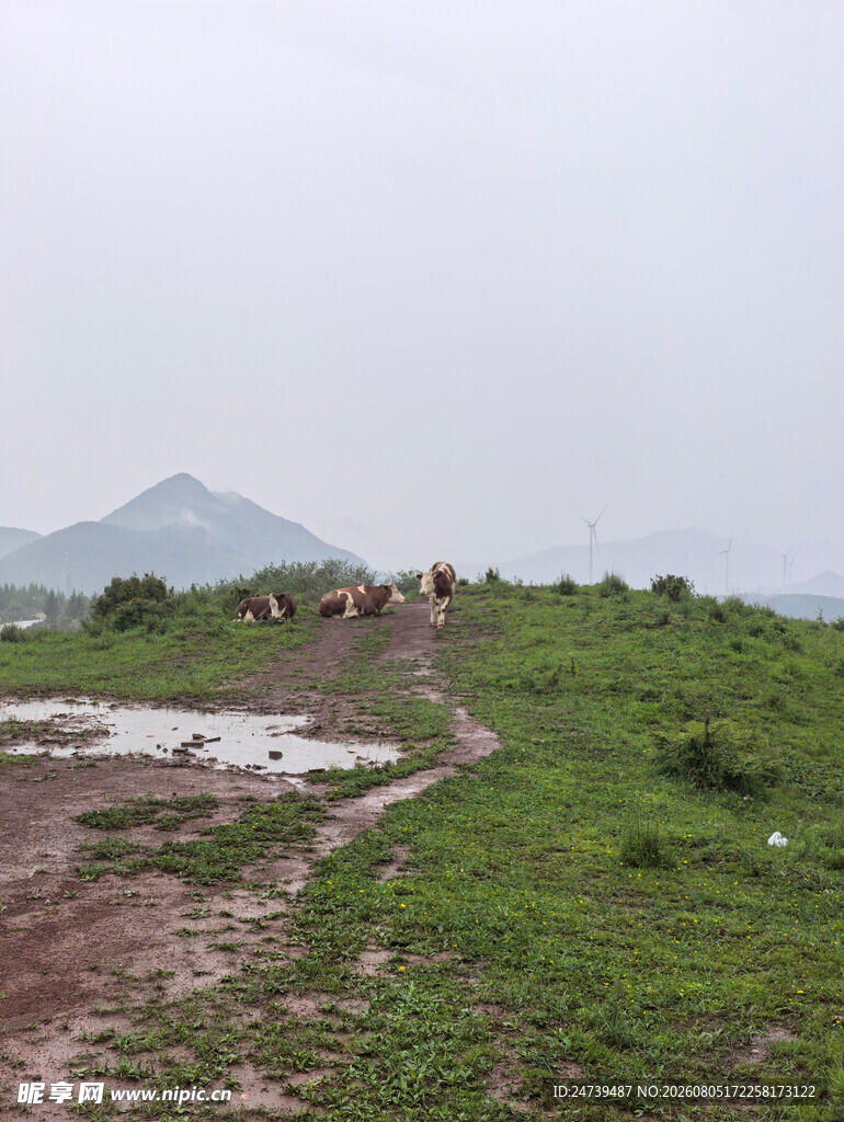 山间泥泞小道