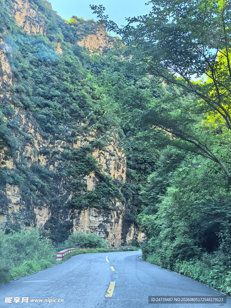 山间蜿蜒公路绿意环绕