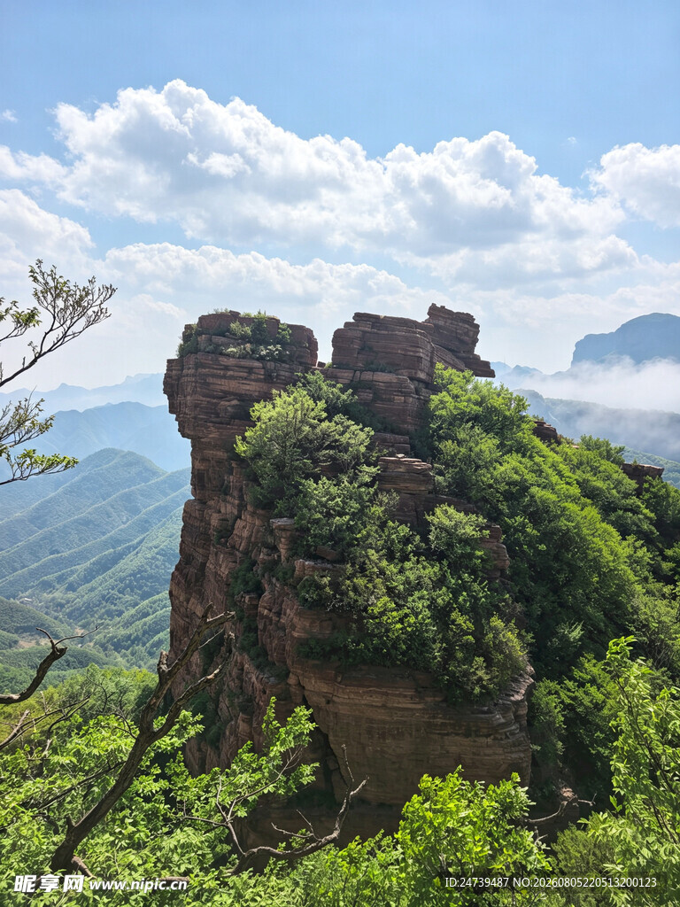 奇峰屹立于葱郁山林间
