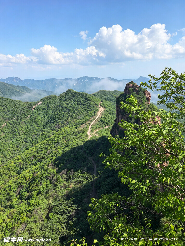 山峦绿意间的蜿蜒小路