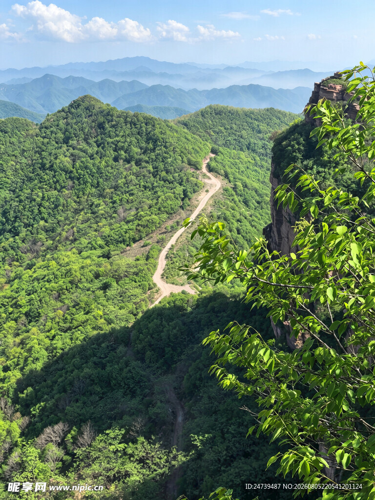 山间蜿蜒小路绿意盎然