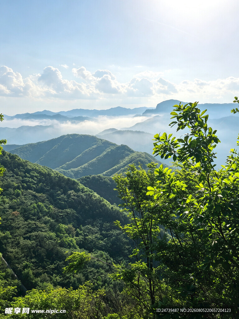 山峦绿意间的阳光云海