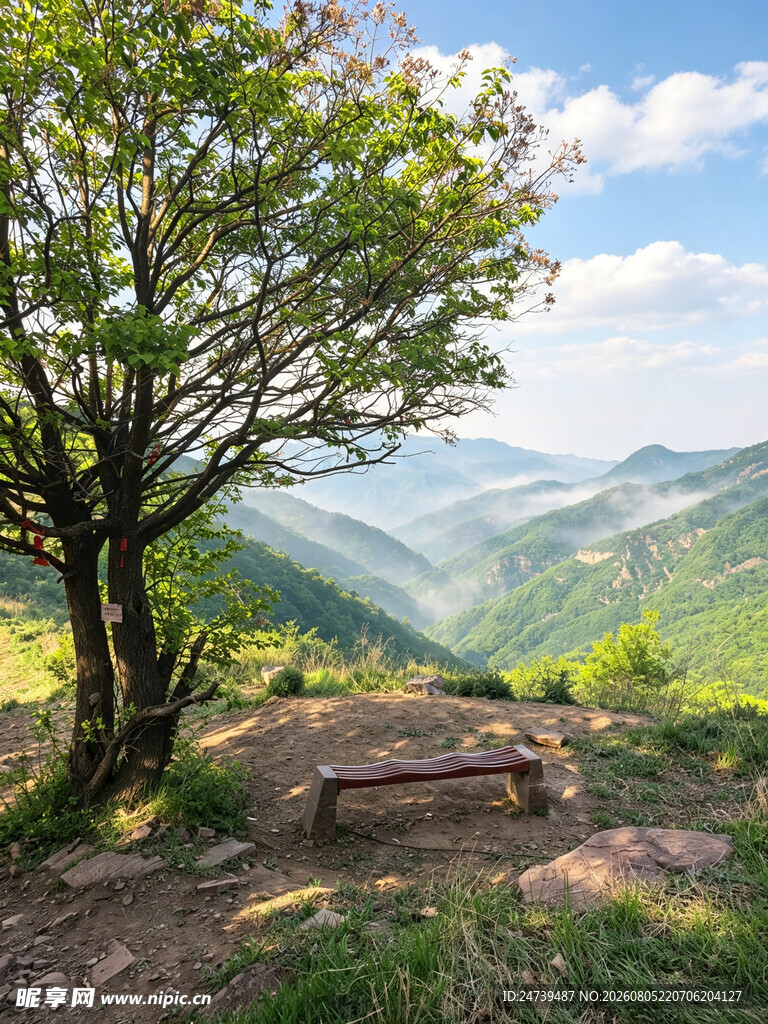 山间孤树旁的静谧风景