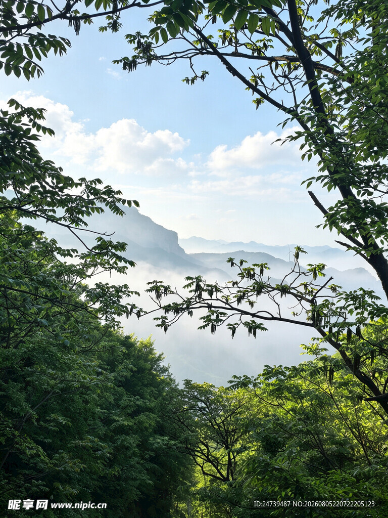 林间远眺青山美景
