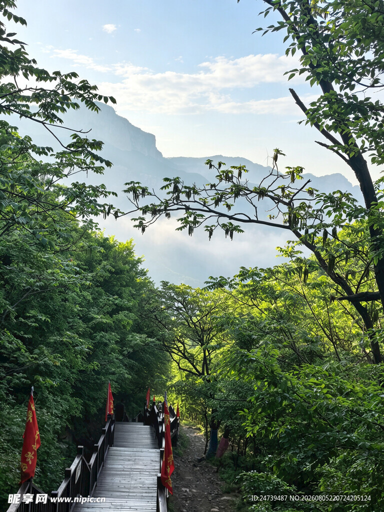 山林步道间的游客漫步
