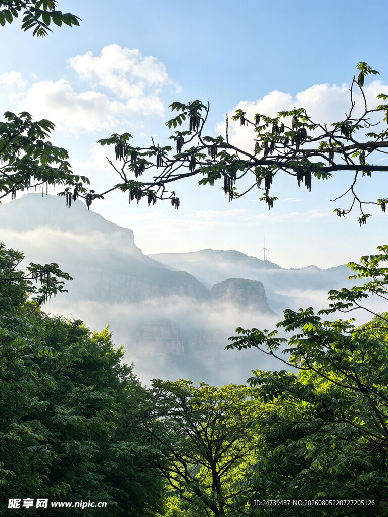 山林间的秀丽风光