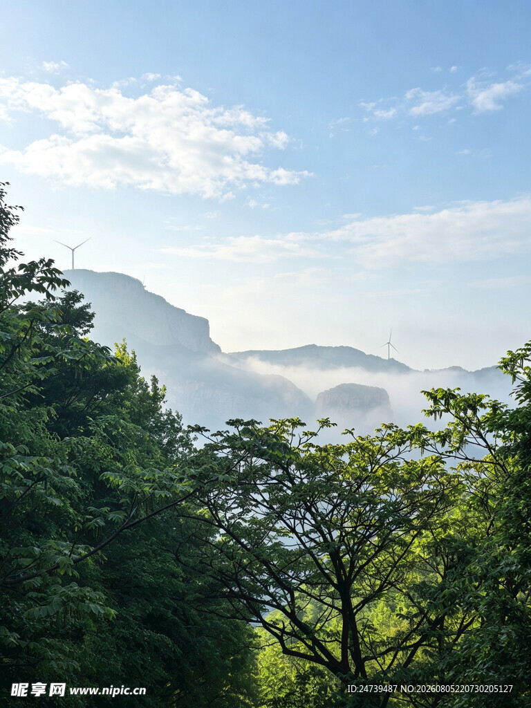 山间晨景云雾缭绕绿意浓