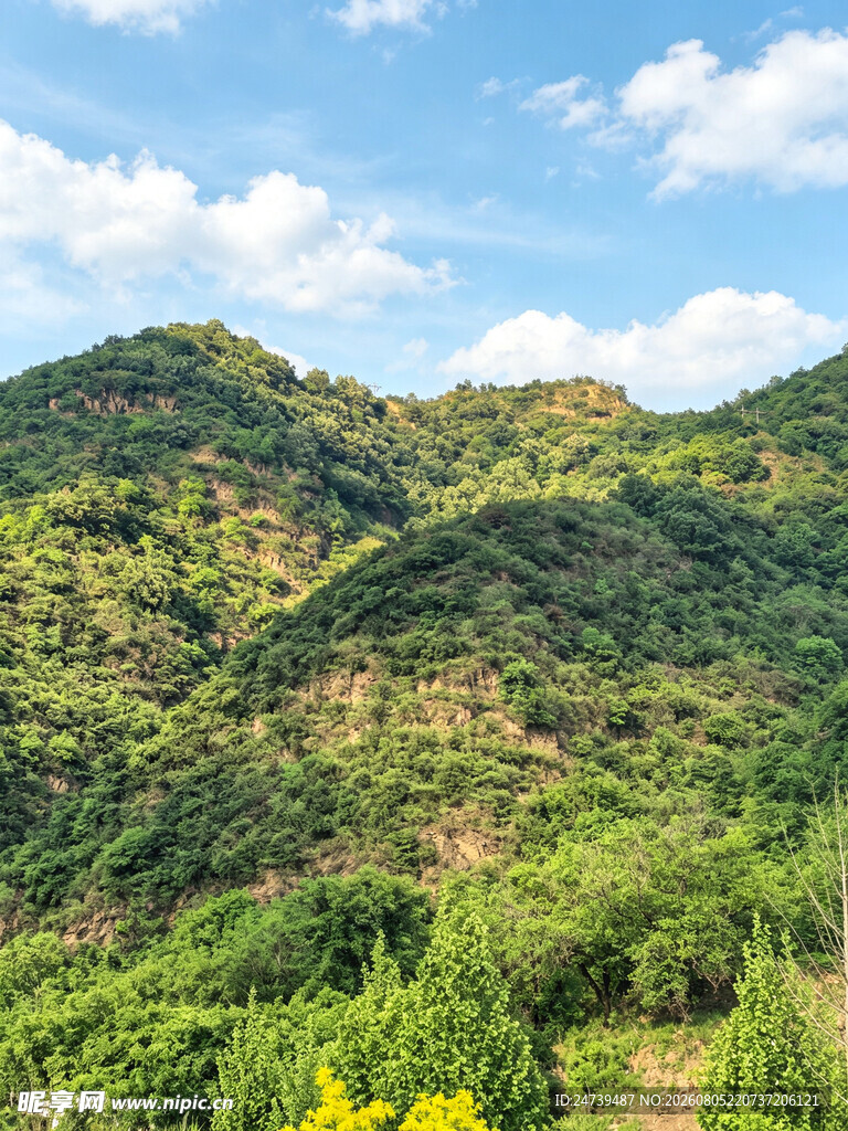 青山葱郁的秀丽自然景观