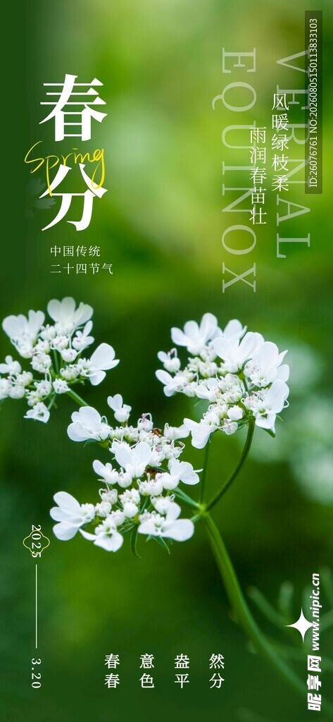 春分