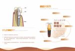 牙齿结构与牙刷清洁图示