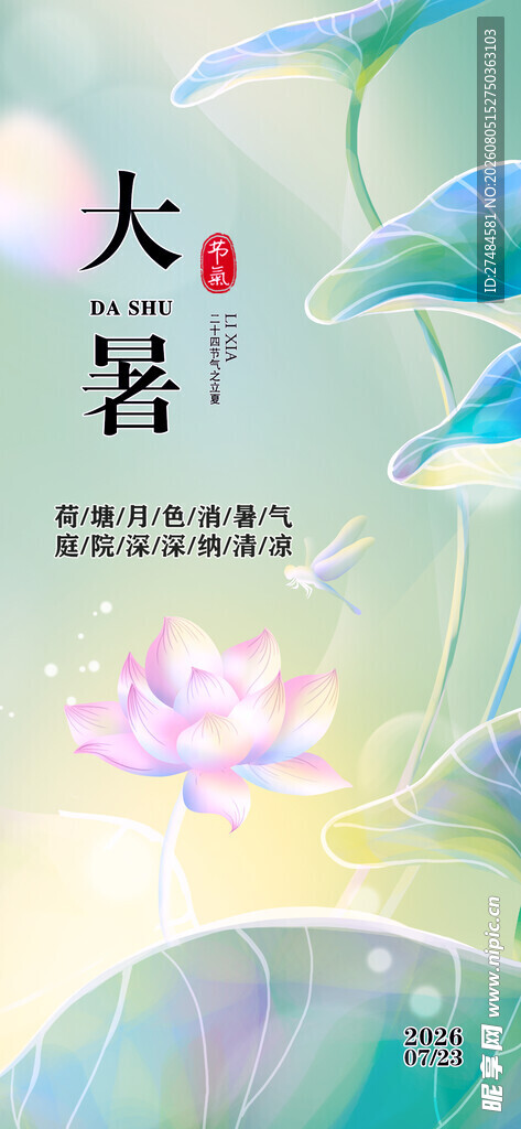 大暑时节荷花绽放图景