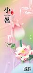 小暑时节荷花绽放图