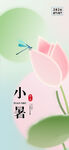 小暑时节荷花蜻蜓图