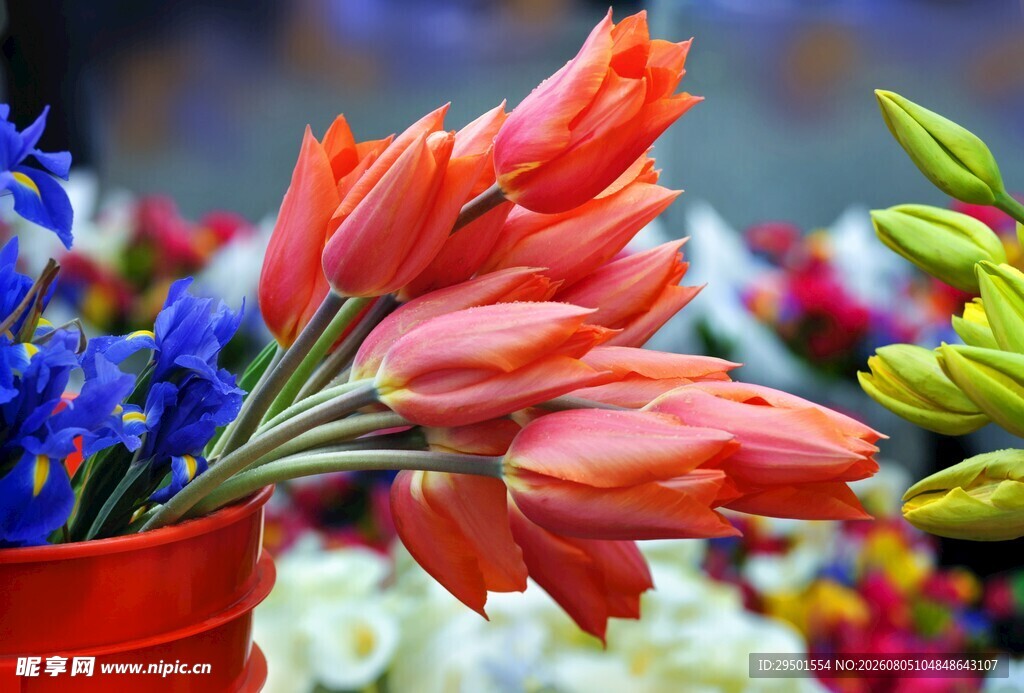 多彩鲜花插于红容器中