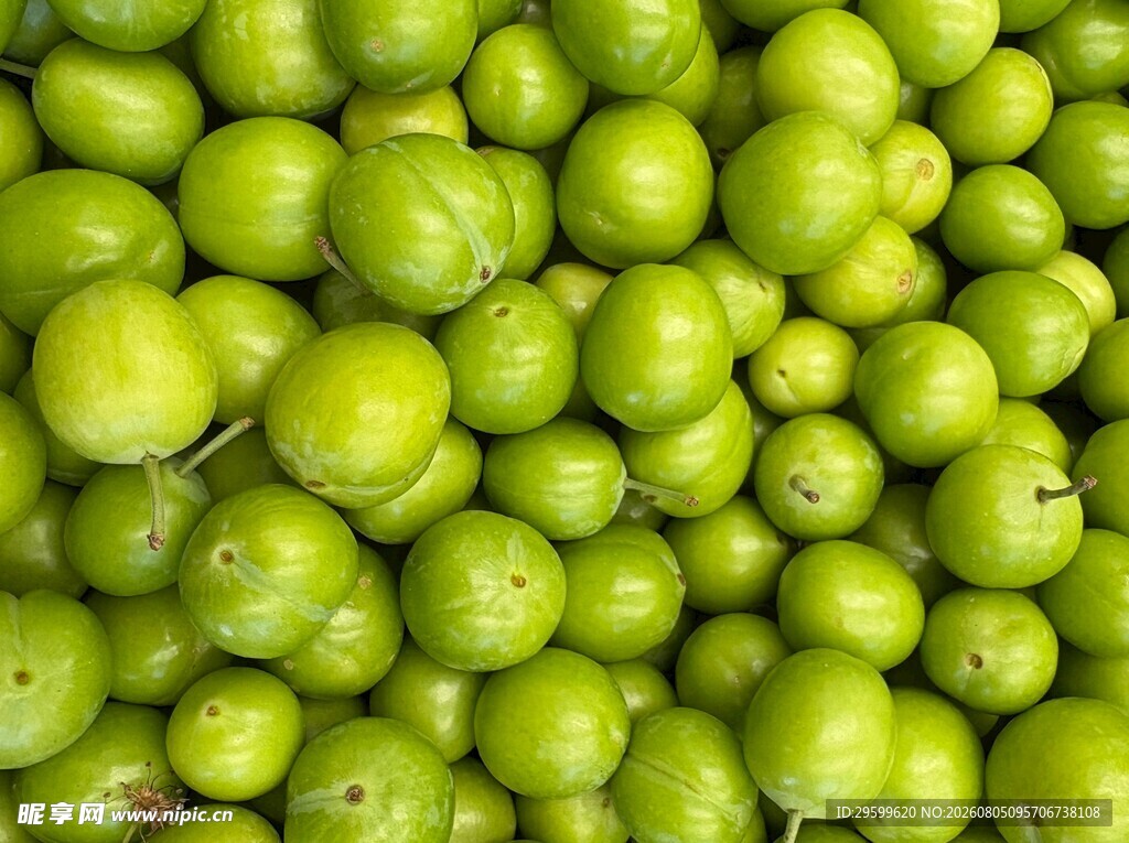 李子