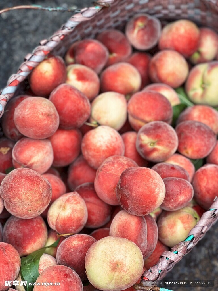 满满一篮鲜桃