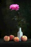 花瓶中粉菊与鲜桃静物