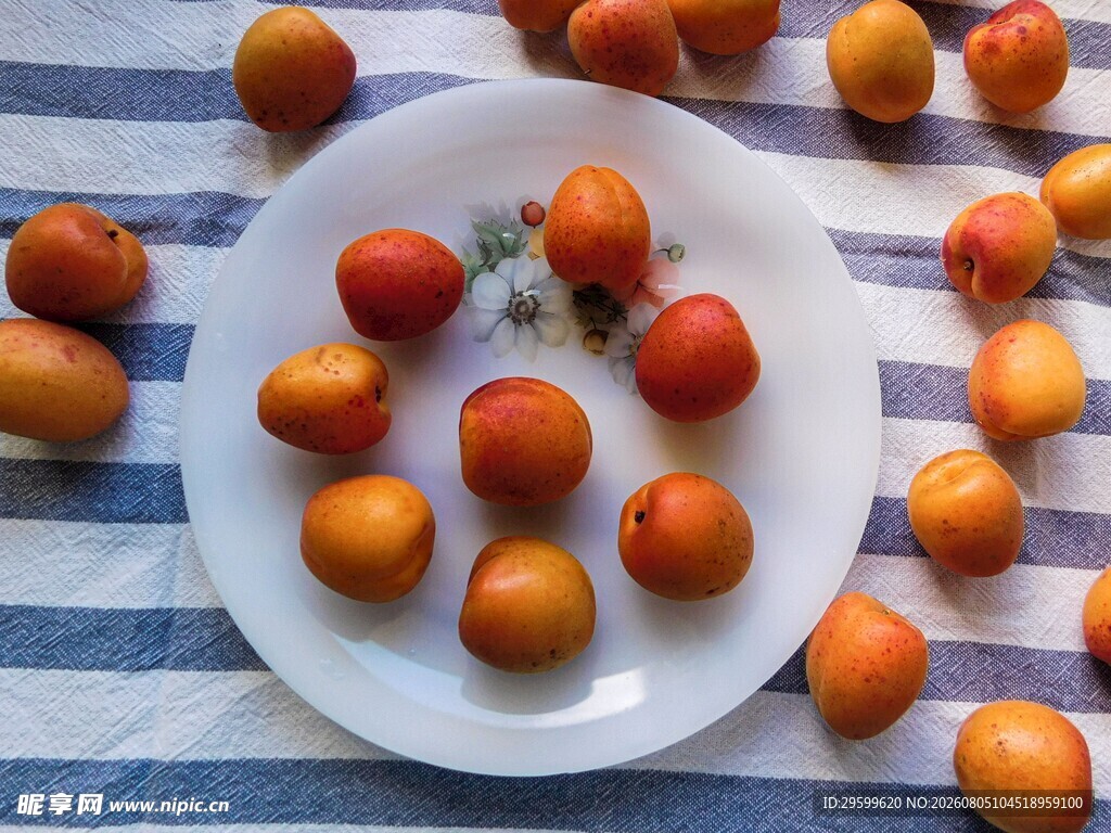 盘中鲜杏 