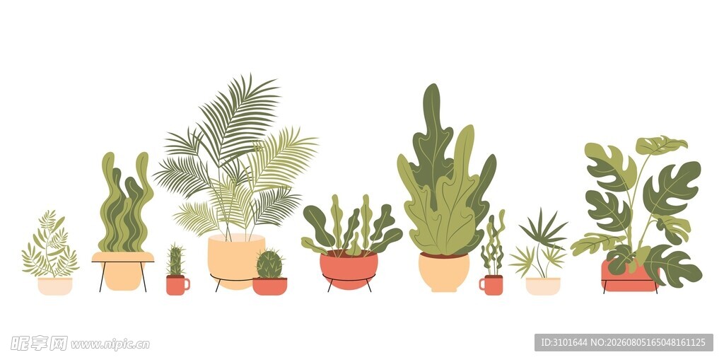 绿色植物盆栽