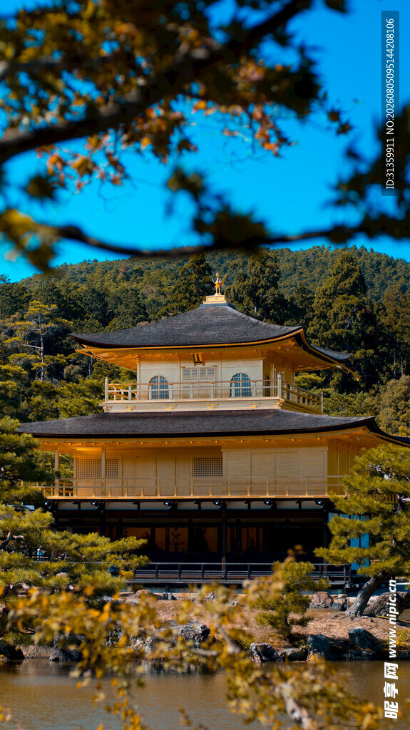 金阁寺美景秋叶映衬