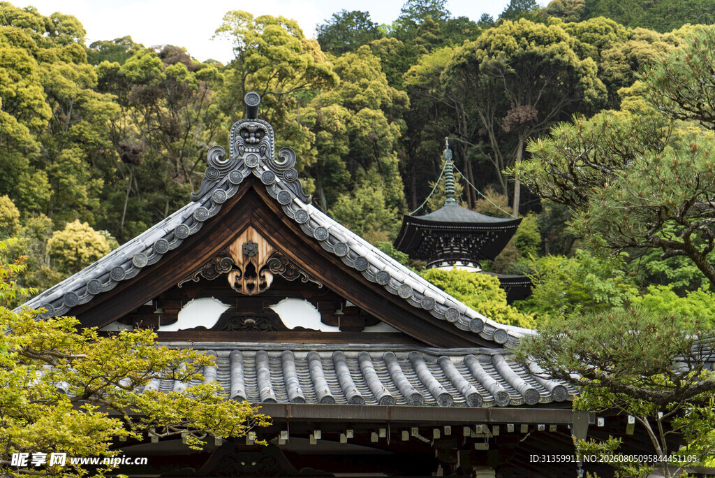 日式古建隐于葱郁山林