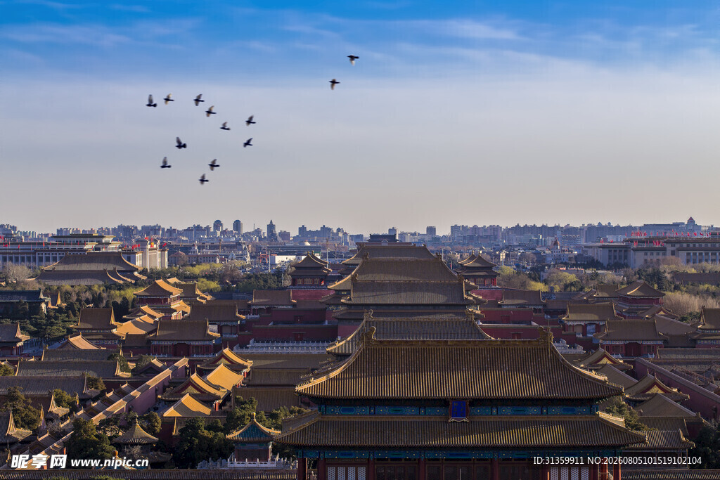 故宫鸟瞰图飞鸟掠古建筑