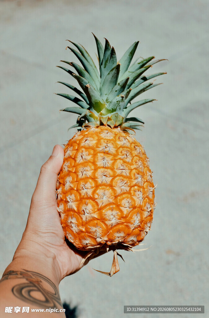 手捧新鲜菠萝