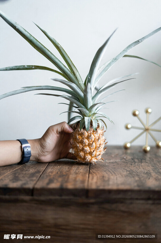 手捧菠萝绿植于木桌前