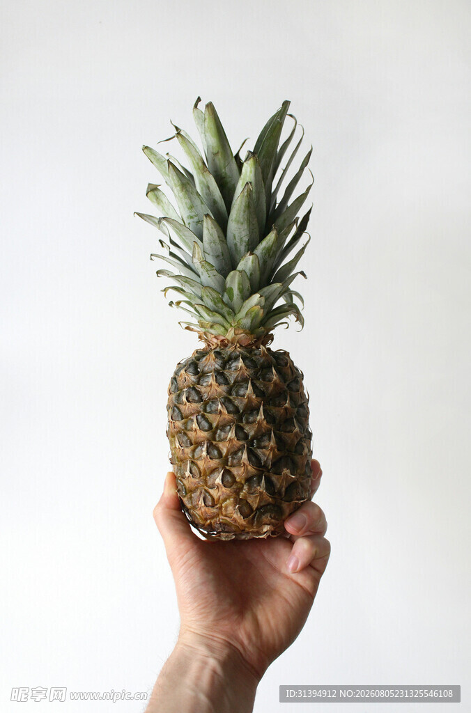 手捧新鲜菠萝