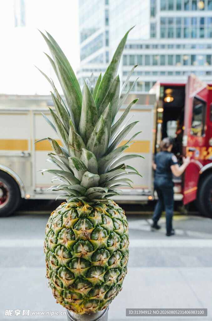 街头菠萝与城市背景