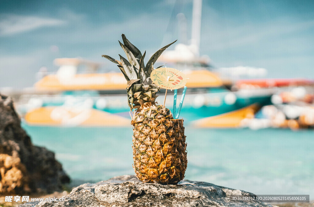海边岩石上的金黄菠萝