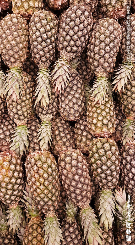 堆叠的新鲜菠萝