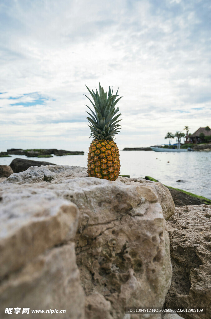 岩石上的菠萝与美丽海景