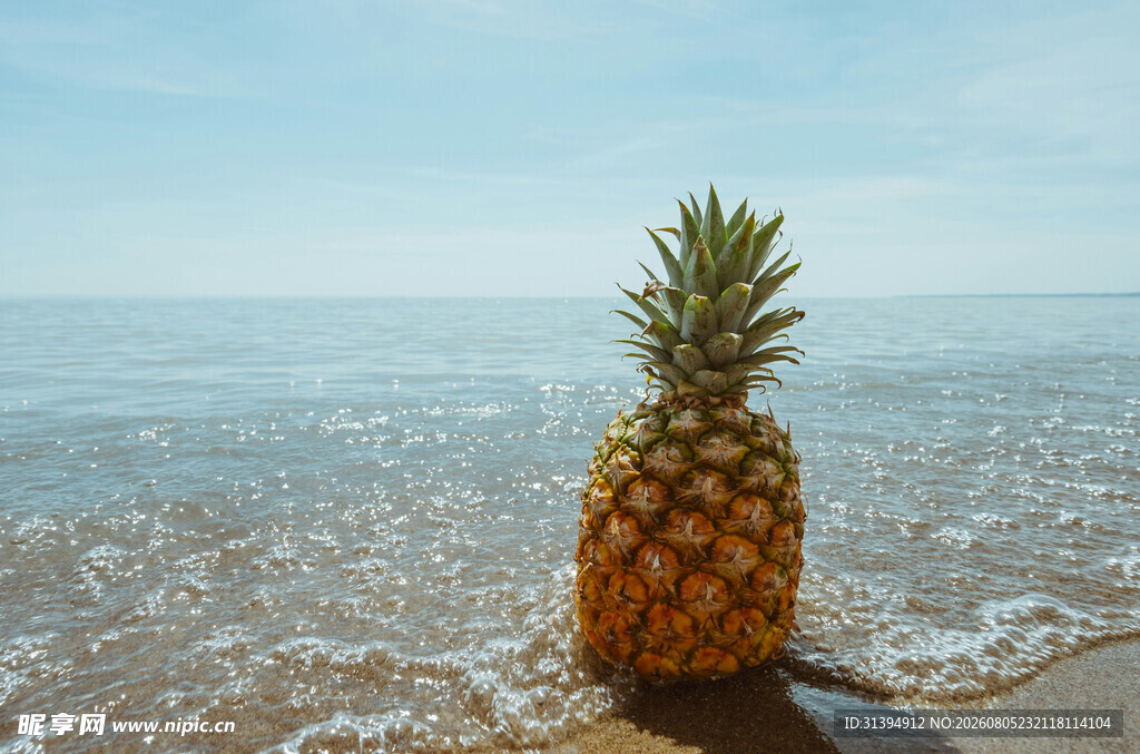 海边独置的金黄菠萝
