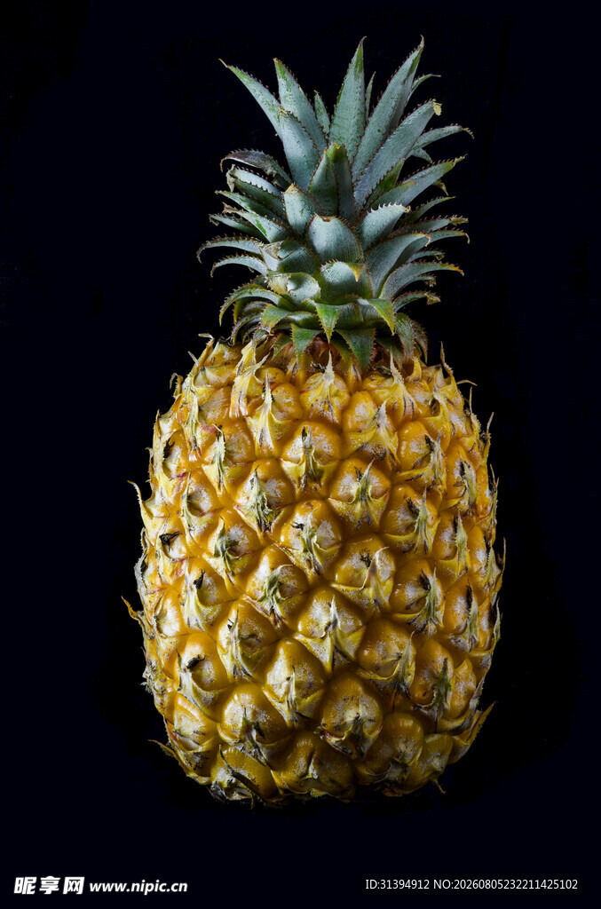 单个金黄菠萝特写