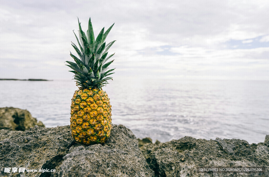 海边岩石上的金黄菠萝