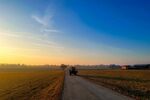 田野间的夕阳小路